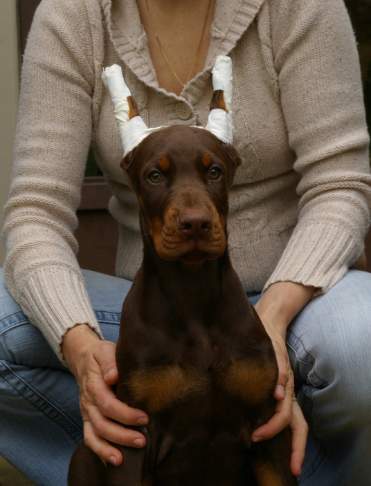 Jenny Guerrero profile 