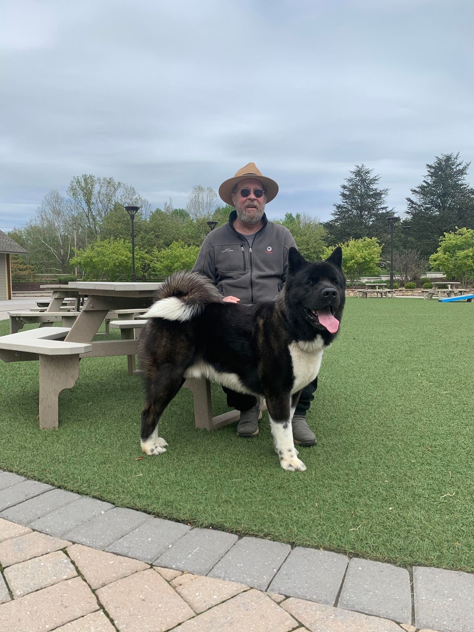 Dennis Abplanalp profile 